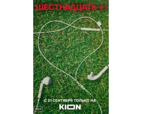 Шестнадцать + 1 сезон   