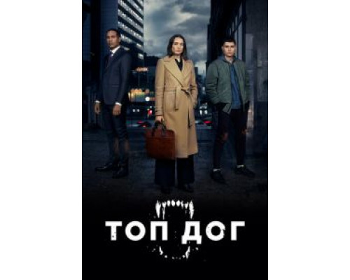 Топ дог 1-2 сезон   